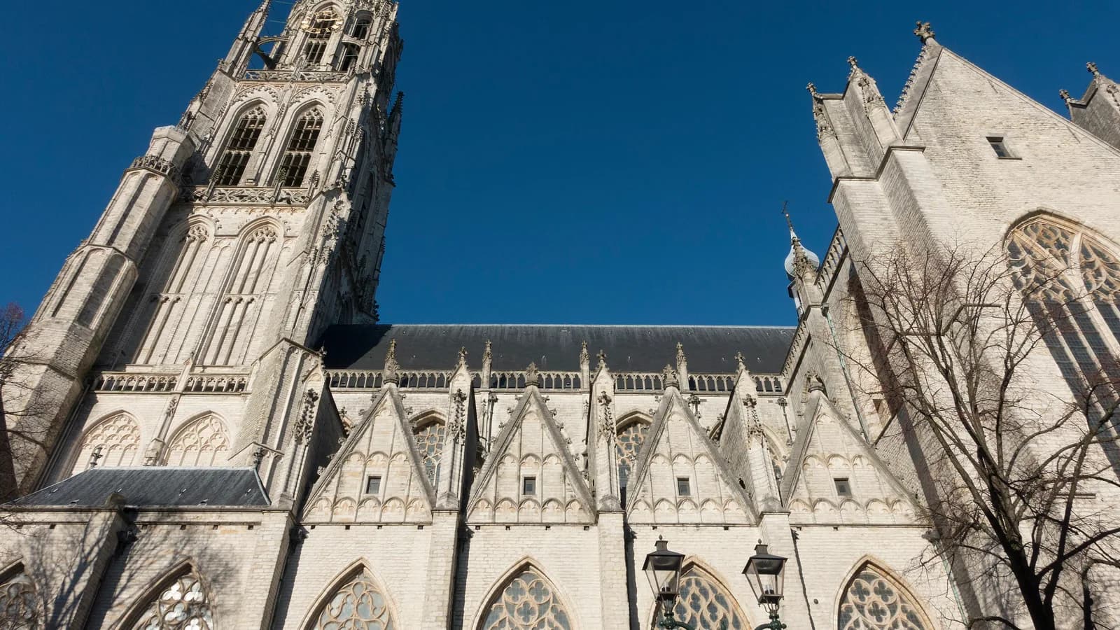 De Grote Kerk in Breda, regio West- en Midden-Brabant